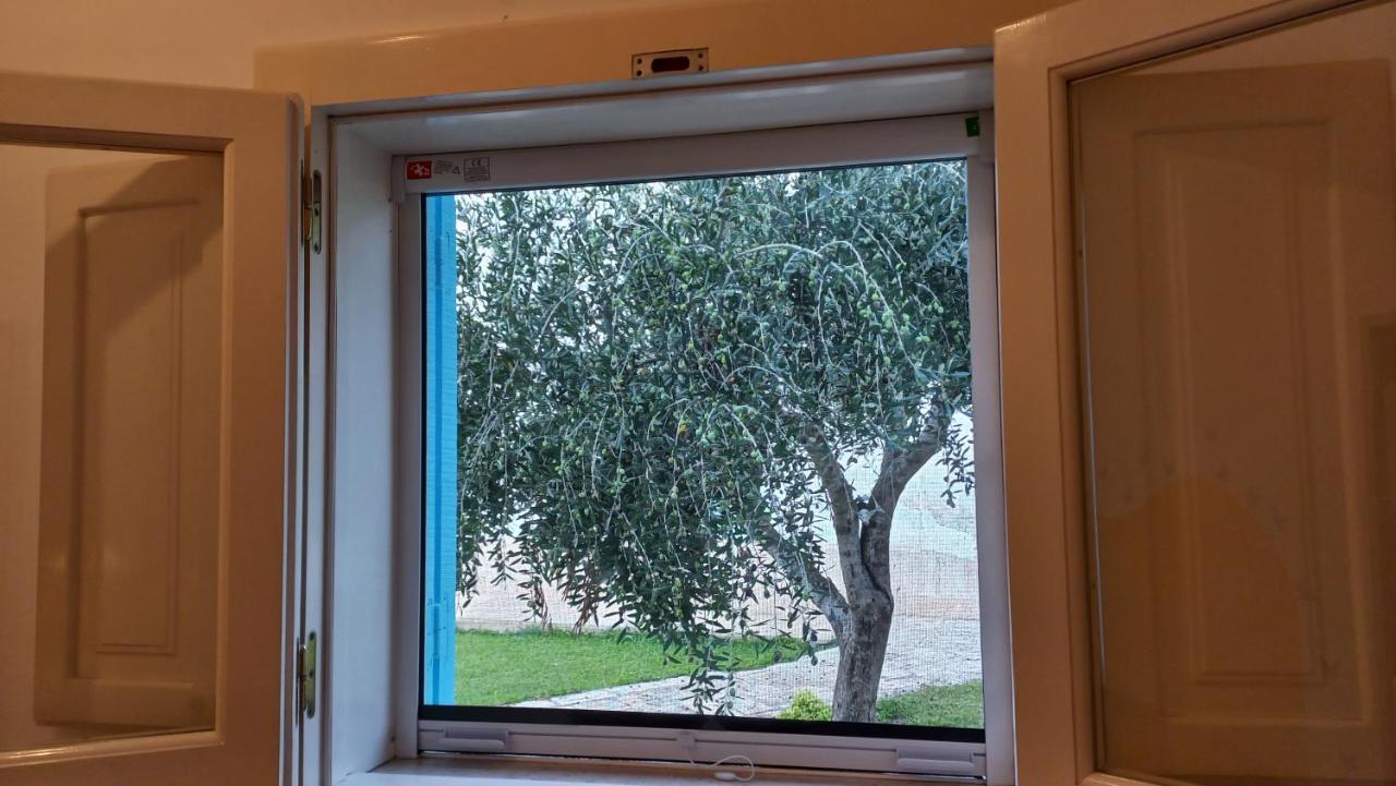 Villino Tronchetto Bianco Bed and Breakfast Mola di Bari Eksteriør billede
