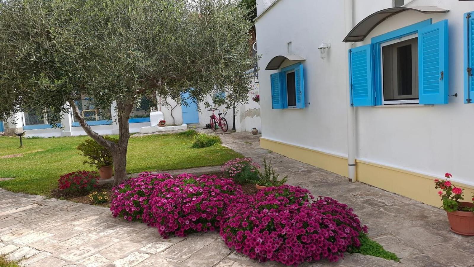 Villino Tronchetto Bianco Bed and Breakfast Mola di Bari Eksteriør billede