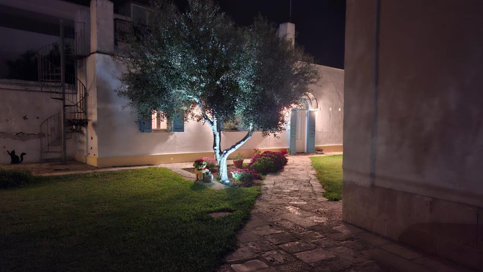 Villino Tronchetto Bianco Bed and Breakfast Mola di Bari Eksteriør billede